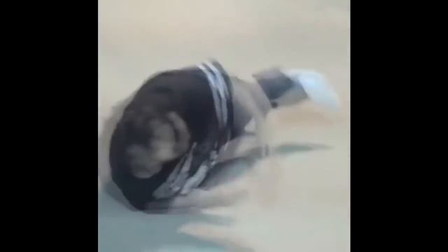 скейтер