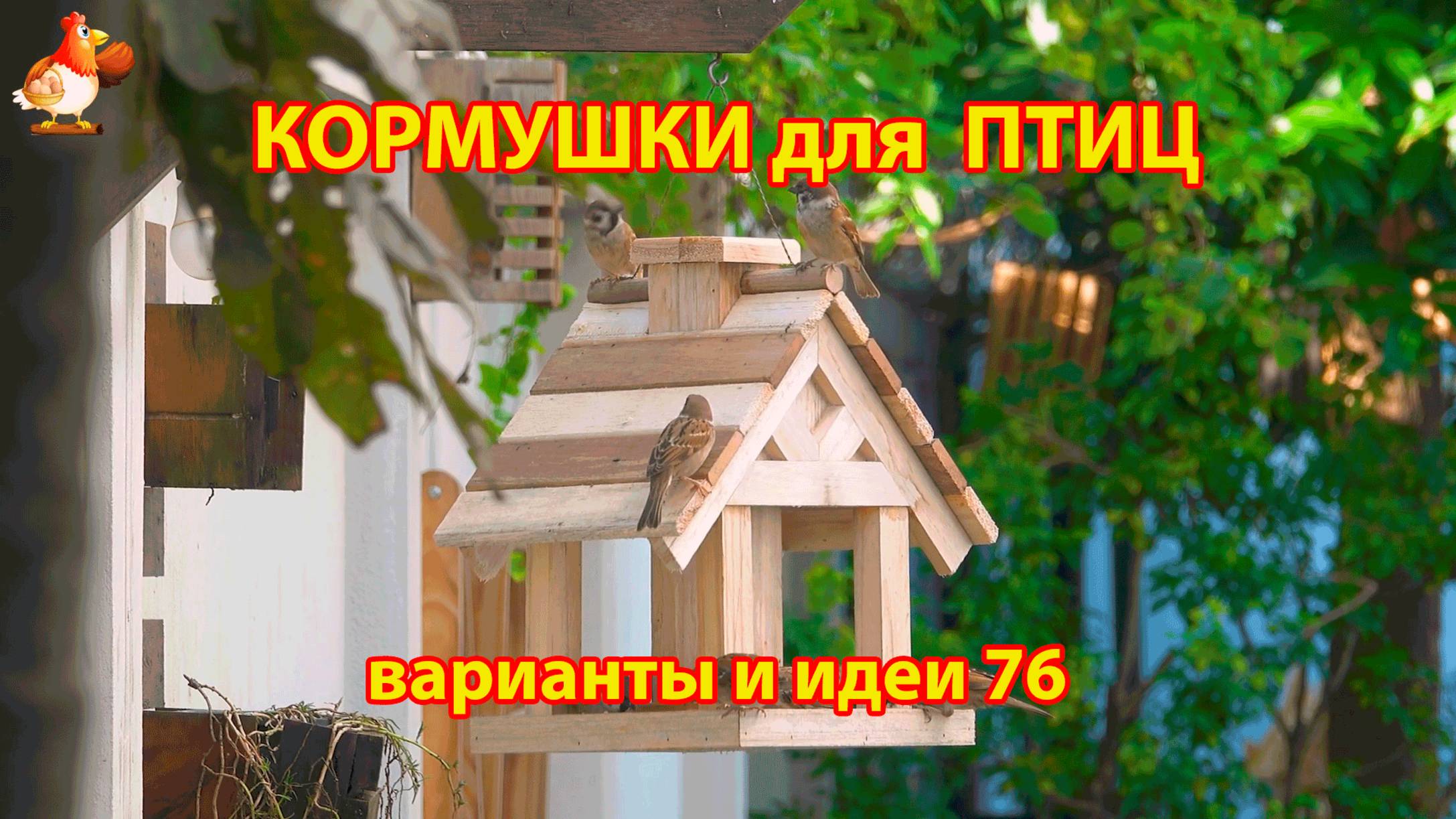 Кормушка для птиц своими руками как сделать пошагово  (76) 🪚🪛🔨 Идеи для дачи и сада❣️