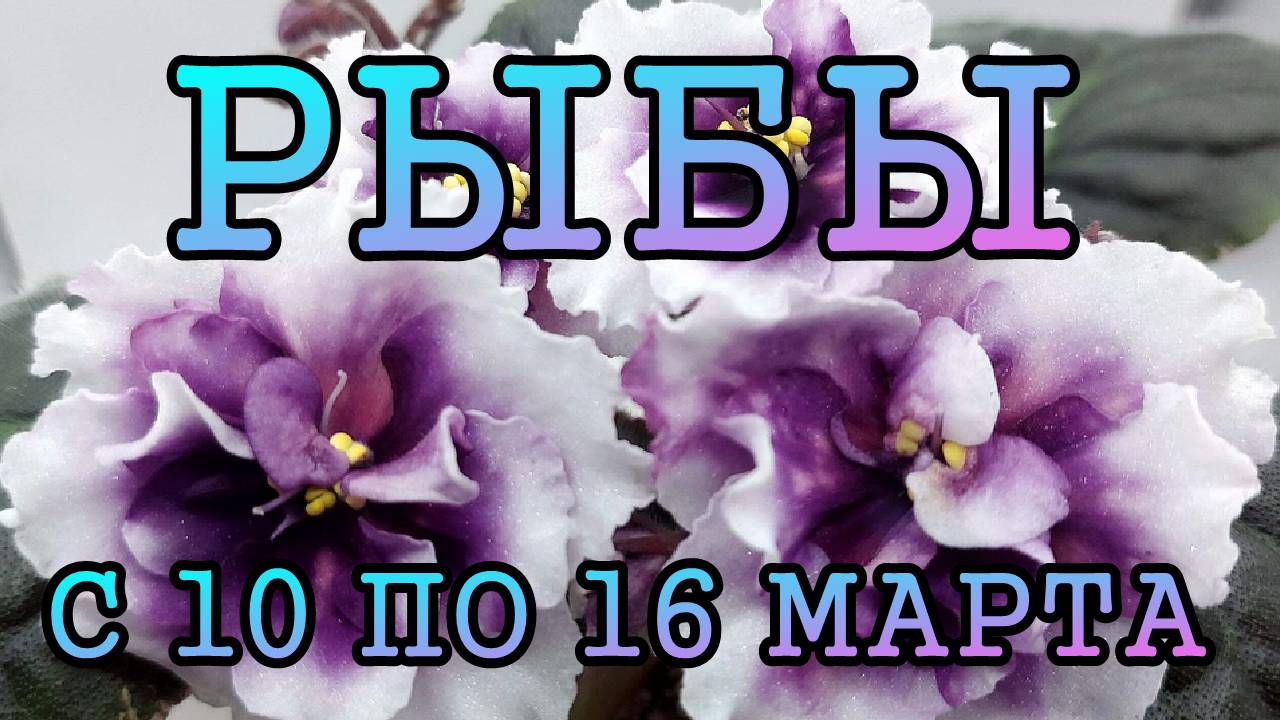 РЫБЫ таро прогноз на неделю с 10 по 16 МАРТА 2025 года.