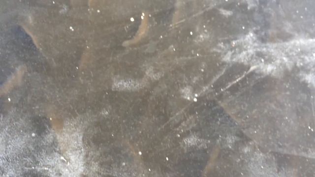 28.12.2015 приехали в Орево