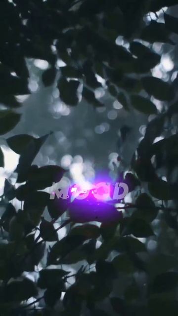 Why You Always In A Mood English Song💫Whatsapp Lofi Status🥀Aesthetic Status💜J Creation🖤