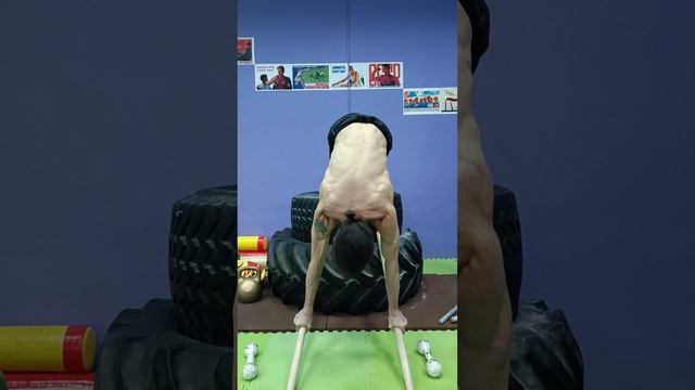26 сентября 2023 г.