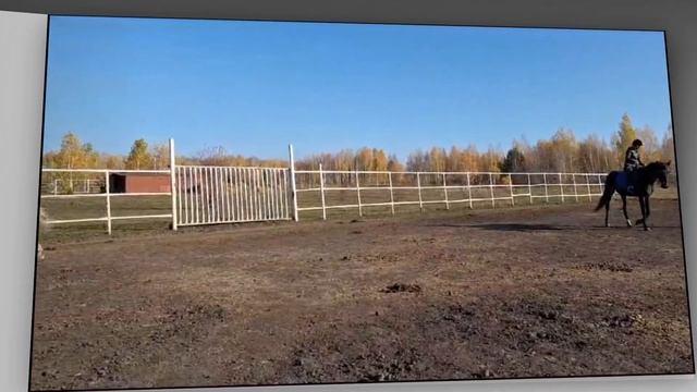 Осень в Талисмане 2023