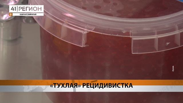 ЗА ПРОДАЖУ ИСПОРЧЕННОЙ ИКРЫ ОСУДИЛИ МОШЕННИЦУ С КАМЧАТКИ • НОВОСТИ КАМЧАТКИ