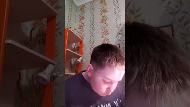 лмлаоа