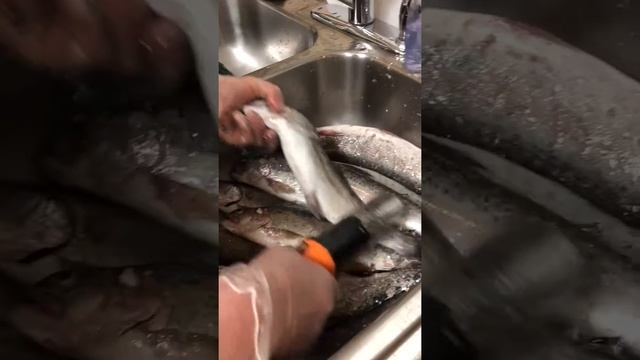 Рыбочистка из Китая.