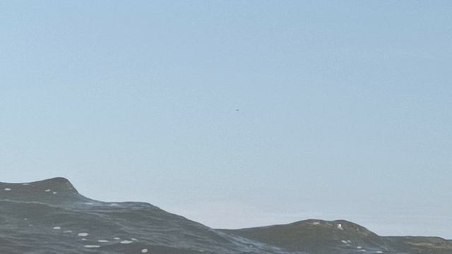 3 августа 2024 г.