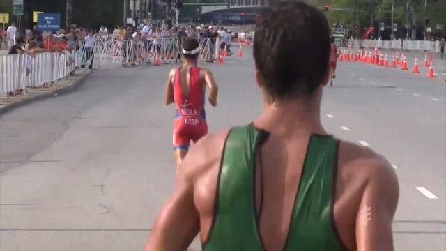 2014 World Triathlon Chicago - Elite Men's highlights