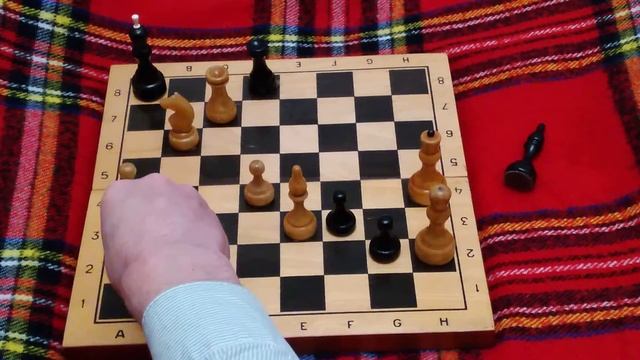 Мат в семь ходов. Решение задачи нашего клуба в трех вариантах. Шахматы. #chess24 #shorts