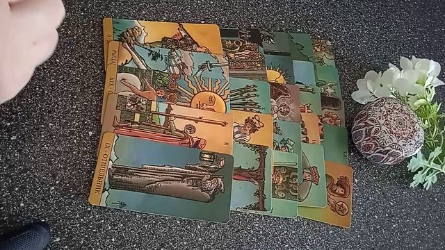 VID_20250307_113448.mp4