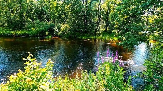 Прогулка на природе. Позитивные эмоции от любования красотой природы. Чувственный пейзаж.