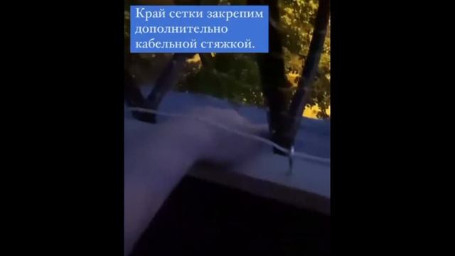 Как обезопасить незастекленный балкон для кошки