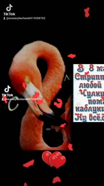 С ВЕСЕННИМ ПРАЗДНИКОМ, 8 МАРТА! 🤗🤗🤗 08.03.2025г. Счастья, удачи, везения, здоровья и любви!🥰🥰🥰