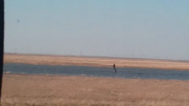 Такой вид спорта