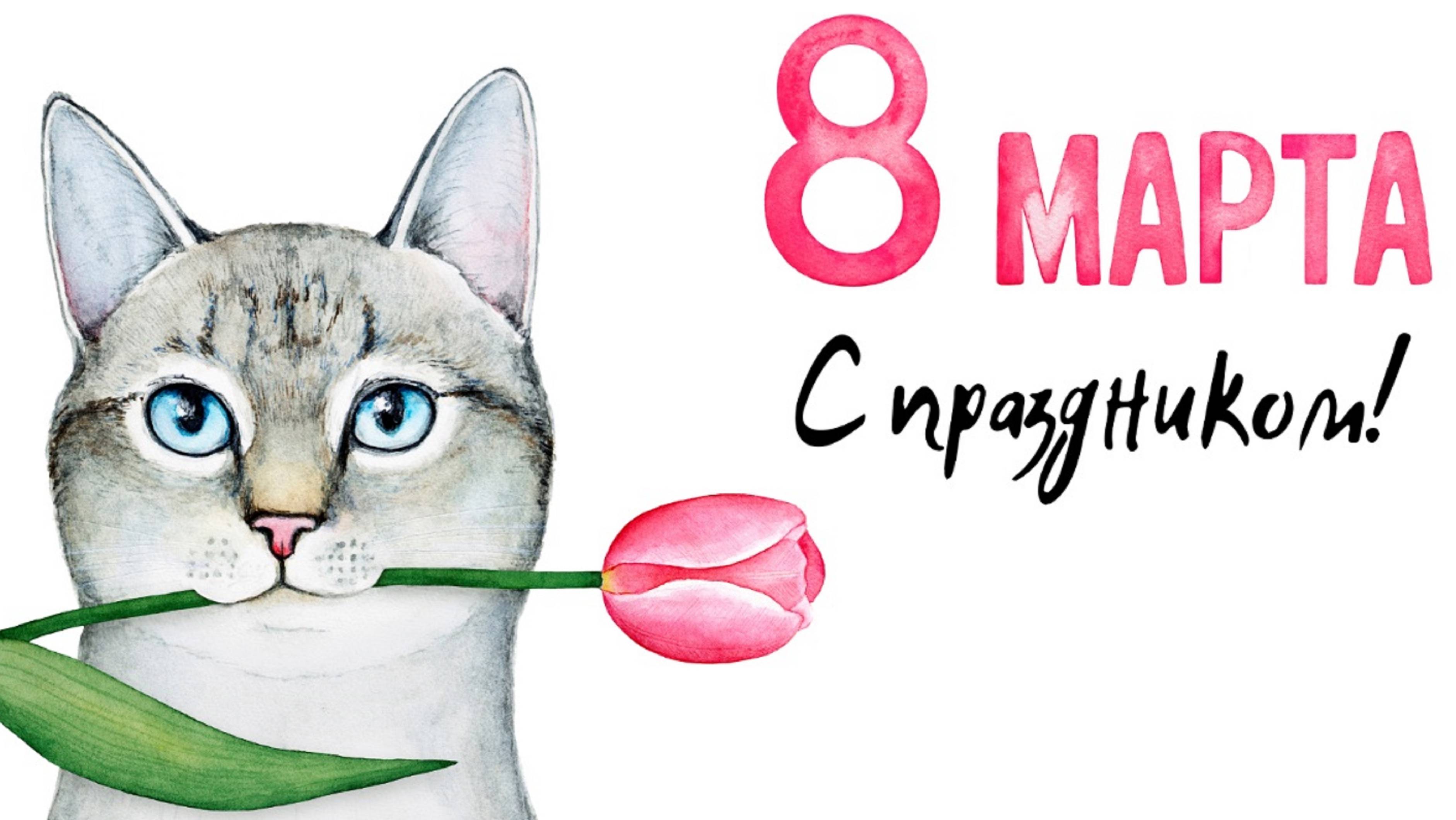 Патрик Кэш - 8 марта! Где?.. автор ролика Светлый...