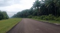 Malaysia Folding Bike TRS Rover first ride