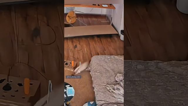 ХихиЧпок Юмор
