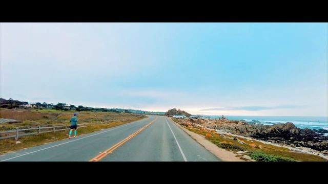 S2E10 We meet a cute seal on the beach of 17 Mile Drive, California