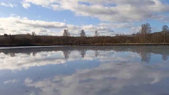 Обзор водоёма РК "Фишка" Петряиха