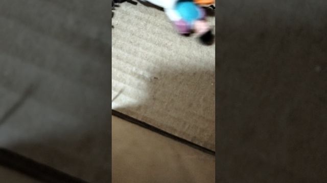 Типы лошадей шляйх
