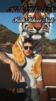 #нейронка #ии #тигр #тайланд