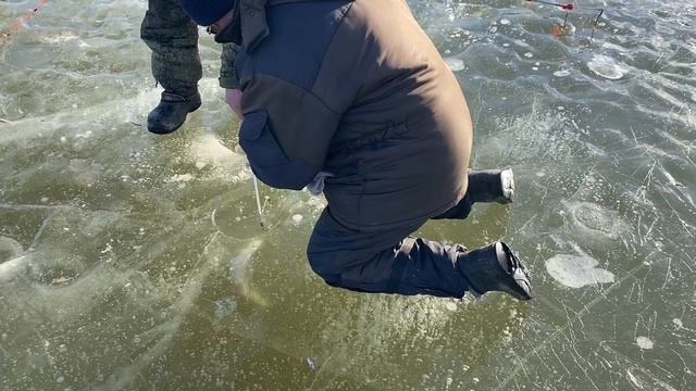 Краткое включение!