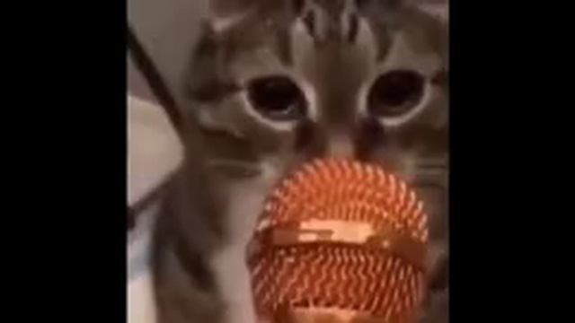 1000012895.mp4