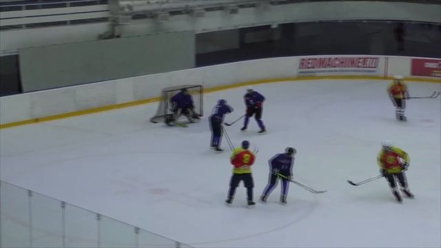Хайлайт НХЛ 40+ Ледяная Синева  ЛХК Усмань