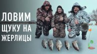 Зимняя рыбалка на жерлицы с дедом — Щука, живцы, тактика проверки снастей на Голодяевском