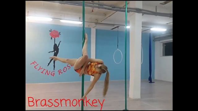 Pole dance tutorial 2 - JANEIRO