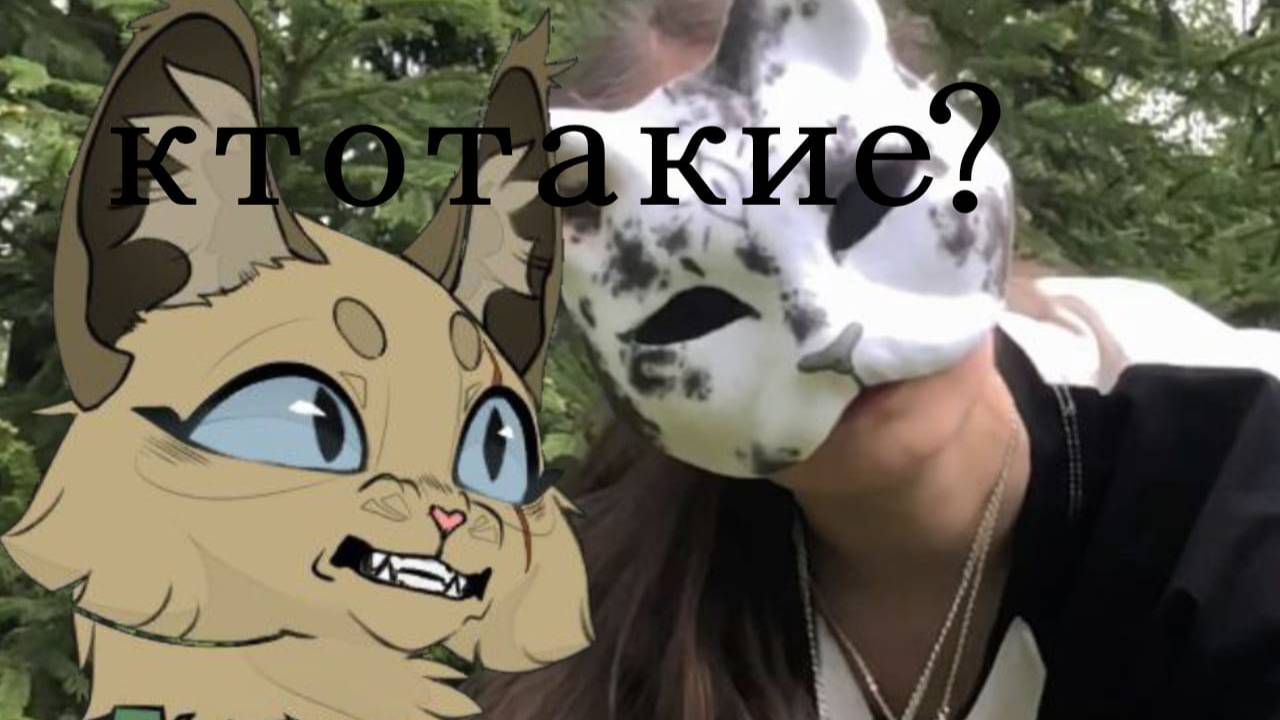 Кто такие квадроберы и чем они отличаются от террианов. #квадробика