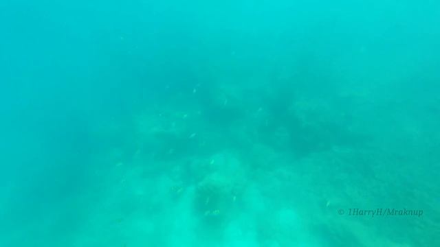 Phi Phi snorkeling in Thailand, Phuket, 4K