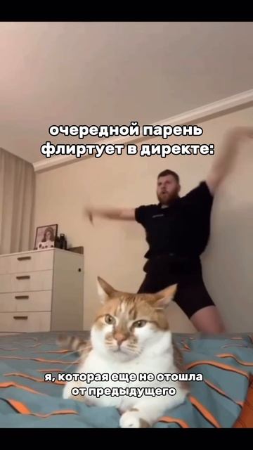 А как вы относитесь к такому флирту?😎