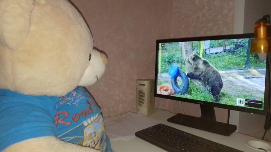 оставь меня дома