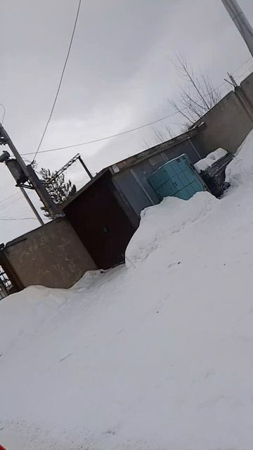 VID-20250306-WA0003