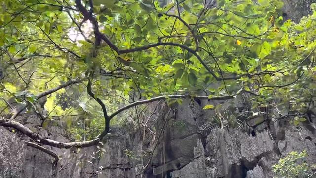 CANOEING Jungle Island Paradise (Koh Hong, Krabi, Thailand 🇹🇭)