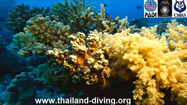 🎥9 days Burma exploration #cruise one step further with Thailand #Diving Pattaya Club