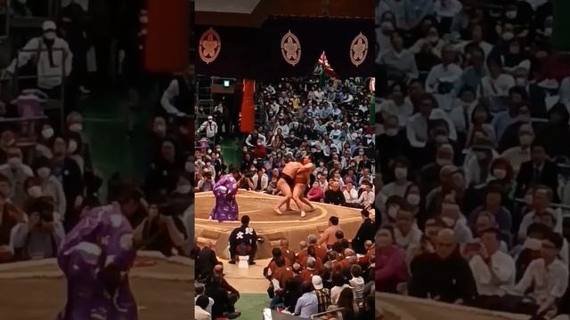 Japan, Osaka Sumo.