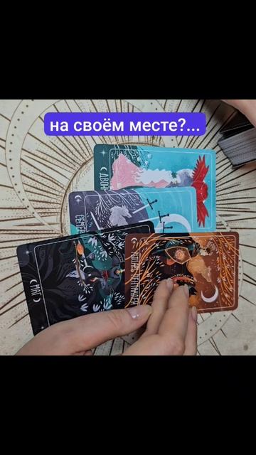 scene_output.mp4