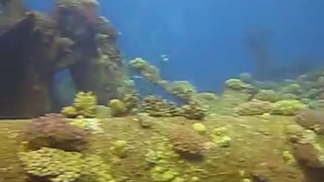 diving safari Egypt 2009