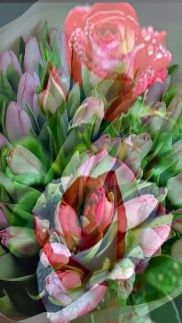 🔴 С наступающим праздником — 8 Марта!!!🤗🥰❤️🙏🏻💕❤️❤️❤️💘🌷🌷🌷🌷🌷🌷🌷🌷🌷🌷