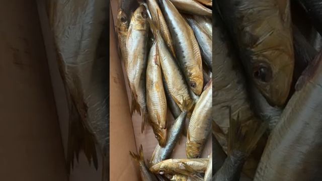 Грандиозный новый приход рыба
Омуль и Муксун хк - 1600р.