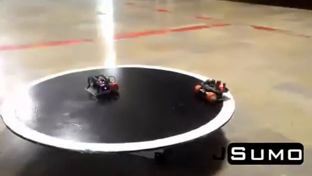 JSumo Mini Sumo Robot Match - Good Mini Sumo Robots