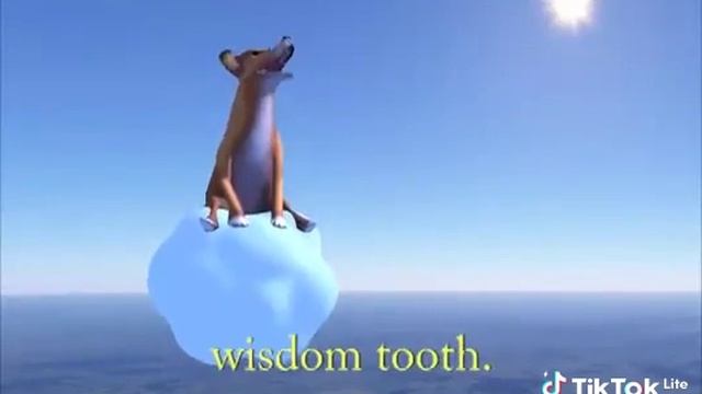 1000048615.mp4