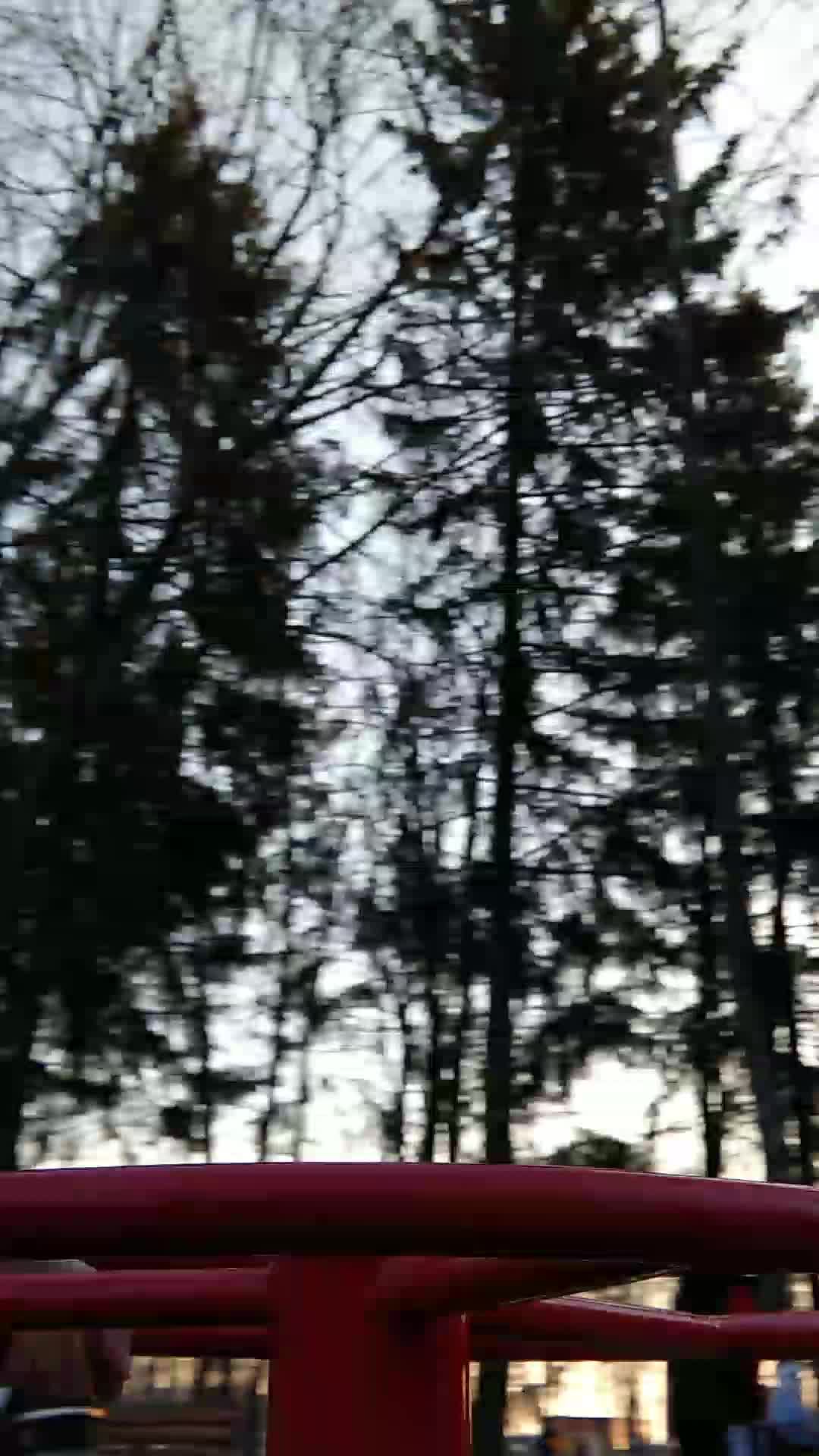 катаюсь