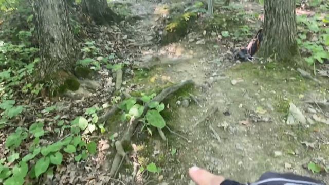 Walmart Mongoose Ardor vs Black Diamond Trail, kind off… Essex Park in Bangor Maine