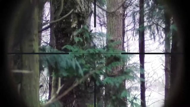 Chochlik  Arisoft Sniper Gameplay