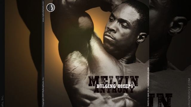 Easy Bar Curl - Bodybuilding, Fitness, Training, Workouts
