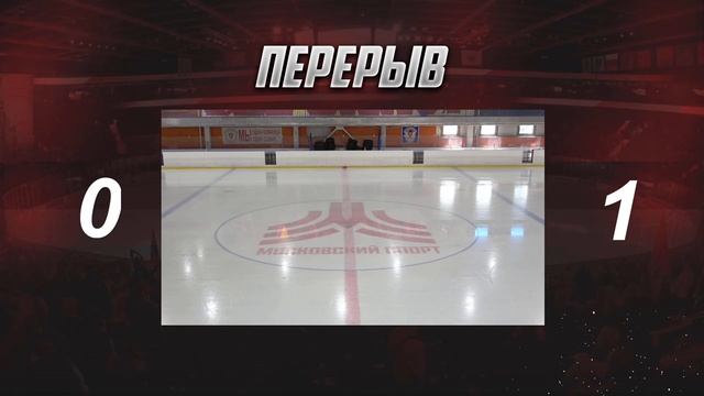 ХК СНЕЖНЫЕ БАРСЫ - ХК РУСЬ 2007 ГОД 14:30