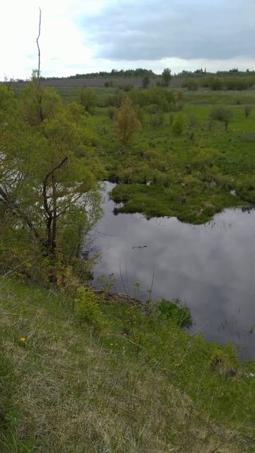 Рыбалка на Поплавочную удочку 🌊 весна 🐟 река 🎣 май 🌀🏞️🌲🌲🌲🌀🏡🐟🌀🌊🎣🌀📽️🌲🐟🌀